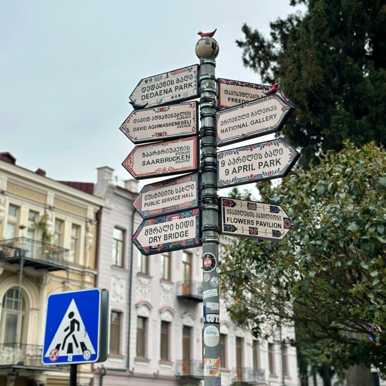 serenay-tosun-hIiYjG7dpkk-unsplash